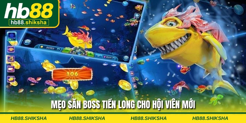 Mẹo săn boss Tiền long cho hội viên mới